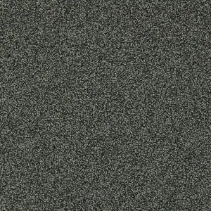 Anthrazitfarbene Dolomite Aventurine Teppichfliesen von Interface