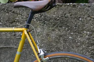 Simplon 5 Stern Rennrad Bild 7