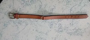 Schönes Hunter Hundehalsband Bild 4