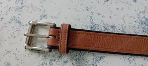Schönes Hunter Hundehalsband