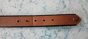 Schönes Hunter Hundehalsband Bild 5