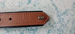 Schönes Hunter Hundehalsband Bild 2