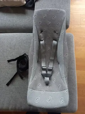 Weber Babyschale für Fahrradanhänger