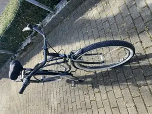 Fahrrad Beach Cruiser 7-gang  Bild 3