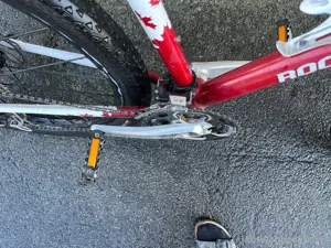 Rocky Mountain Hardtail Bike Bild 5
