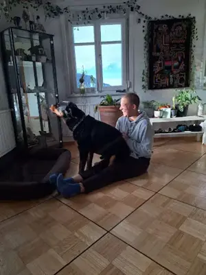 Hundepension sucht neues Zuhause   Haus mit Garten zur Miete oder Mietkauf in Dornbirn und Umgebung  Bild 3