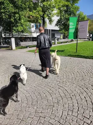 Hundepension sucht neues Zuhause   Haus mit Garten zur Miete oder Mietkauf in Dornbirn und Umgebung  Bild 4