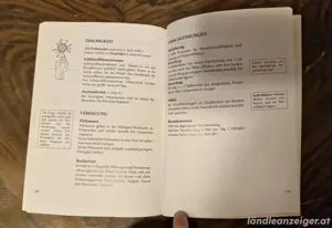 Buch Hildegard von Bingen Bild 2