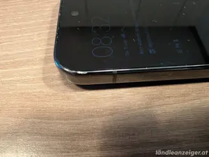 Pixel 9 Pro mit 256 GB in Obsidian mit defekter Kamera  Bild 3