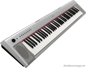 Yamaha Piaggero NP31S Bild 2