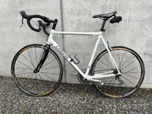 Cresta Rennrad