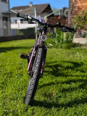 Cube Kinder Mountainbike 20 Zoll 7 Gänge Bild 3