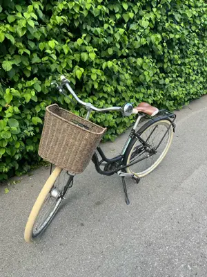 Fahrrad Victiria Bild 2