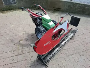 Rapid Eingrasmäher  Bild 6