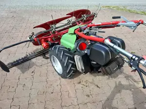 Rapid Eingrasmäher  Bild 5
