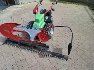 Rapid Eingrasmäher  Bild 7