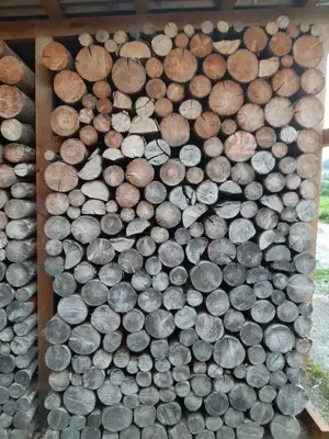 Brennholz Fichte trocken