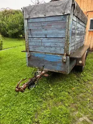 Viehanhänger mit Kugelkupplung Bild 2