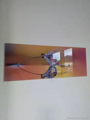 Glasbild Pusteblume Natur 