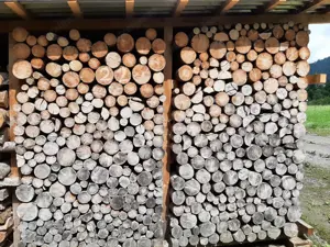 Brennholz Fichte trocken Bild 3