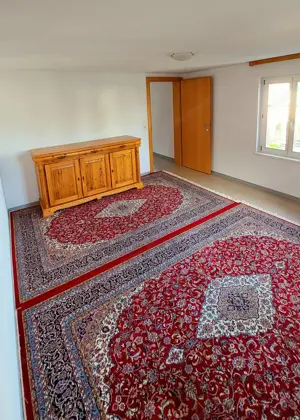 Hard 2 Zi.Wohnung Bild 7