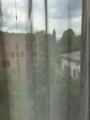 Store weiß für mehrere Fenster Bild 2