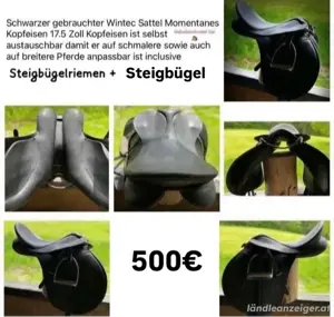Wintec Vielseitigkeitssattel Cair Bild 7