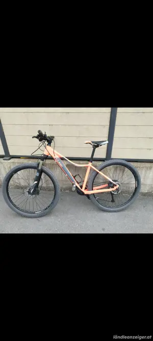 Cube damne Fahrrad (m)