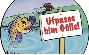 Gülle abladen  Bild 2