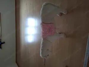 Gratis Einhorn Rosalie sucht liebevollen Platz :-) Bild 2