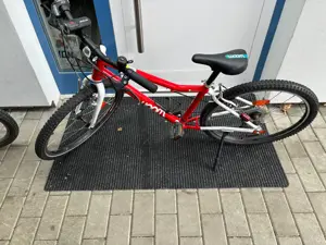 Woom 5 zu verkaufen