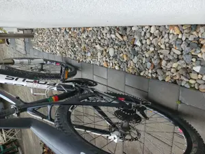 Focus Mountainbike "Black Forrest" Bild 3