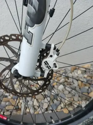 Focus Mountainbike "Black Forrest" Bild 5
