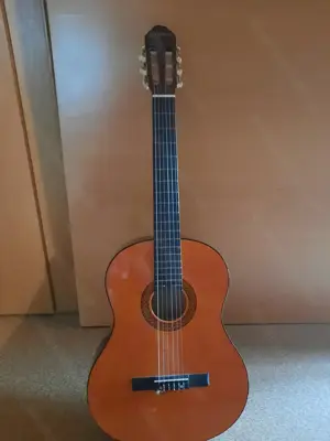 konzertgitarre  