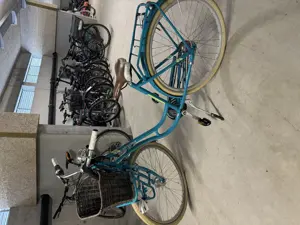 Damenfahrrad Bild 2