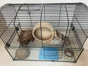 Hamsterkäfig mit Zubehör  Bild 3