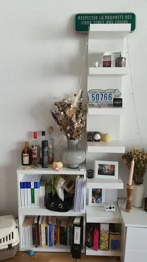 Wohnungsauflösung   tolle Möbel günstig zu verkaufen Bild 5