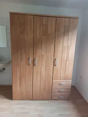 Schrank Buche Massiv