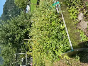 Hochbeetziegel und Frühbeet Bild 4