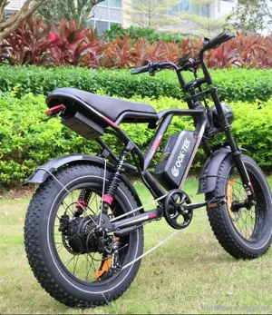 Elektro Bike 25 59km h