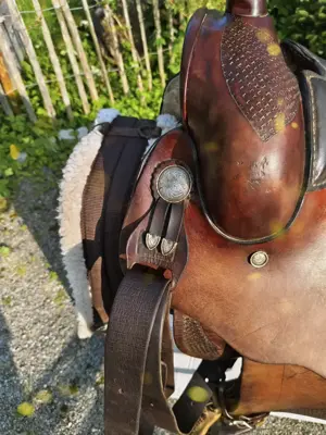 Westernsattel  Bild 3