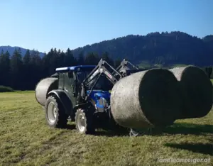 Heu 2. Schnitt Grummat Rundballwn Heuballen Pferdeheu