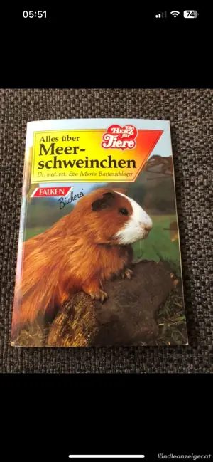 Alles über Meerschweinchen