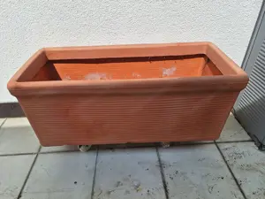 Pflanztröge mit Rollen