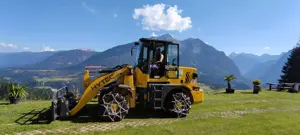 Radlader Hytec F 45  120 Betriebsstunden  17900 Euro Bild 9