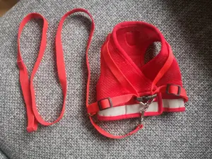 Weiches Geschirr für kleine Hunde Bild 4