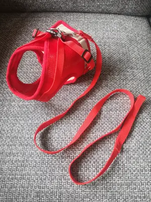 Weiches Geschirr für kleine Hunde Bild 3