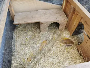 Hasenstall zu verschenken!