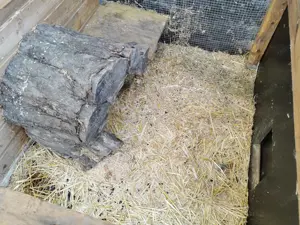 Hasenstall zu verschenken! Bild 4