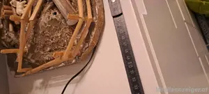 Weihnachtskrippe  Bild 5